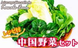 国産アジア野菜の川辺農園 季節の「中国野菜」セット