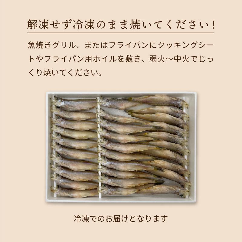 北海道産 本ししゃも メス 30尾入 子持ちししゃも シシャモ 柳葉魚 送料無料