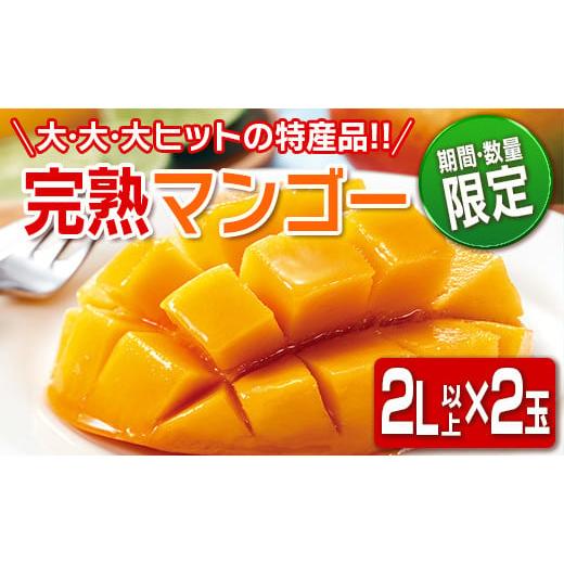 ふるさと納税 宮崎県 日南市 ≪数量限定≫日南市産完熟マンゴー(2L以上×2玉) フルーツ 果物 国産 令和6年発送分_BC62-23