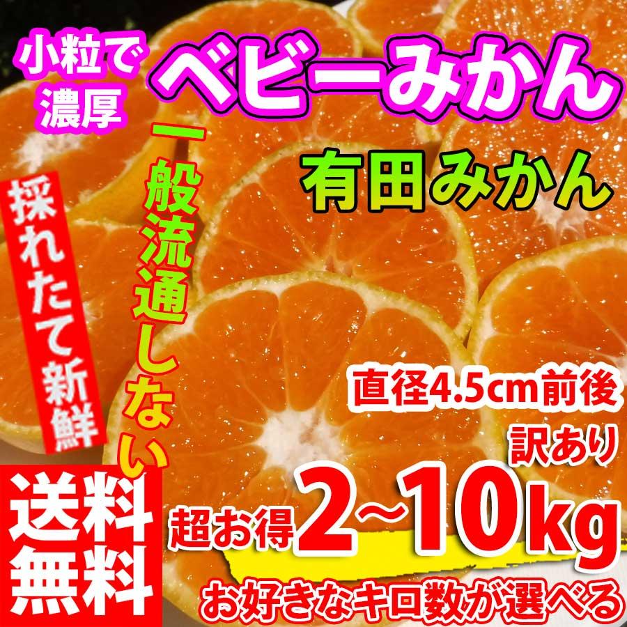 みかん 2kg~10kg 訳あり 小粒サイズ 直径4.5cm前後 有田みかん ベビーみかん 和歌山 ギフト 小粒みかん フルーツ 果物