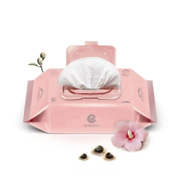 ENBLANC 銀離子抗菌 純水濕紙巾有蓋72抽-輕柔木槿花(10包/箱購)★衛立兒生活館★8809416641423x10