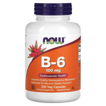 NOW Foods, B-6 素食膠囊，100 毫克，250 粒