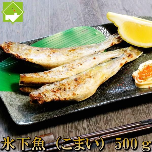 こまい 一夜干し 生干し 北海道産 500g 送料無料 氷下魚（こまい） 別途送料が発生する地域あり