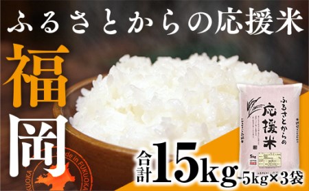 家庭応援米 訳あり 15kg 最新年度をお届け お米 白米 精米 ブレンド米 送料無料 人気 大人気 TY029