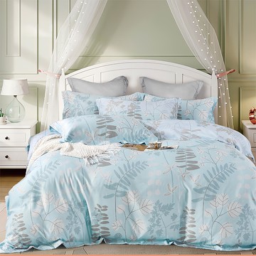 E-ROU 伊柔寢飾 吸濕排汗抗菌天絲兩用被 台灣製  被子  雙人  薄荷綠韻