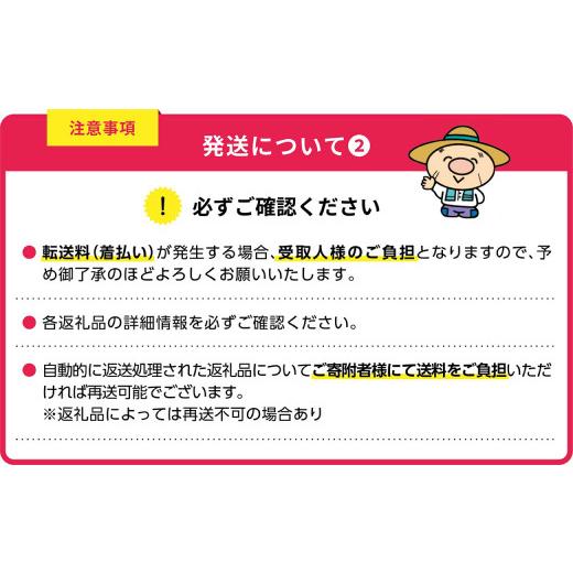 ふるさと納税 福岡県 赤村 4LA7 絶品味付きもつ鍋セット 4人前 濃縮醤油スープ