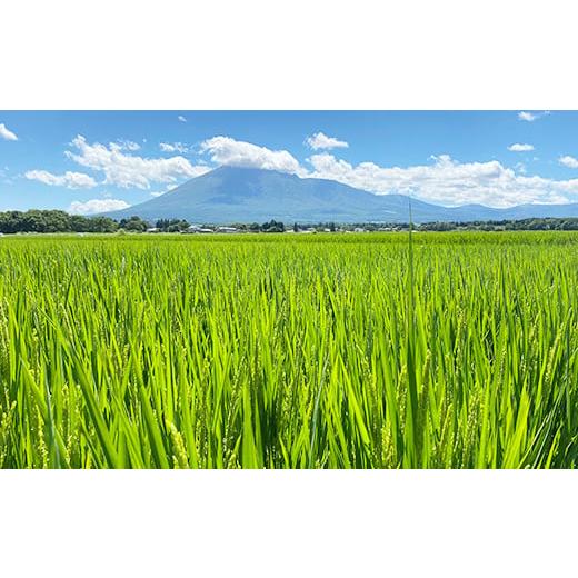 ふるさと納税 岩手県 八幡平市 八幡平市産 つきあかり 玄米10kg（5kg×2袋） ／ 新米 玄米 産地直送 