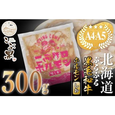 ふるさと納税 北海道産 黒毛和牛 こぶ黒 和牛 しお ホルモン 300g ＜LC＞ 北海道新ひだか町