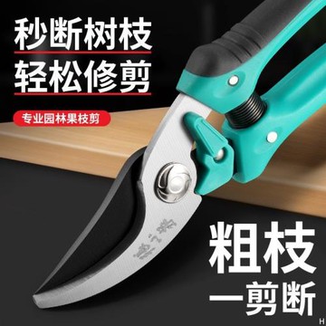 張小泉園林剪刀修枝剪果樹修枝花藝師剪花專用剪修剪樹枝盆景剪刀