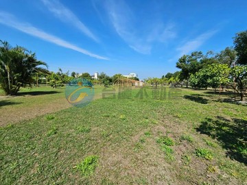 屏東竹田近88超值樟樹園優質農地｜屏東縣竹田鄉鳳新段