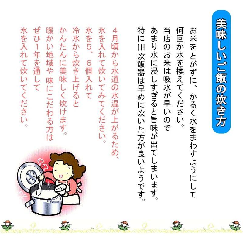 精米令和4年産 新潟県産コシヒカリ 白米 箱入り 2kg 10箱 新潟辰巳屋