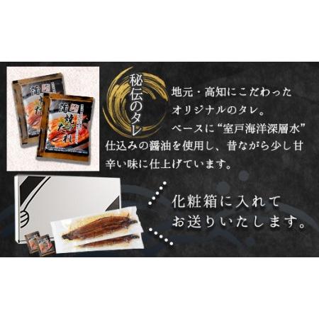 ふるさと納税 高知県産養殖うなぎ蒲焼き 100〜120g 2尾セット Bfb-0009 高知県香南市