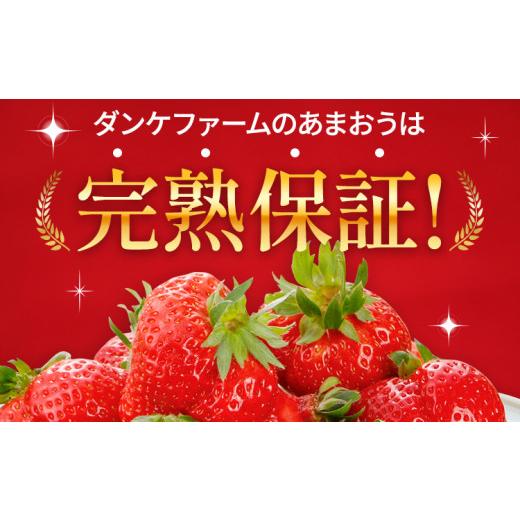 ふるさと納税 福岡県 田川市 福岡県田川市産 あまおう（8粒or粒9入り×2パック） いちご 苺