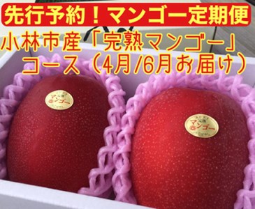 小林市産「完熟マンゴー」コース(４月、６月）