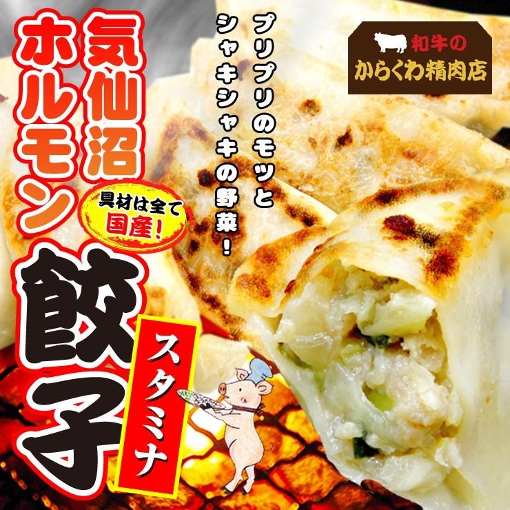 気仙沼ホルモン 餃子セット 8個入り2パック ホルモン ぎょうざ 国産 ソウルフード（からくわ精肉店)