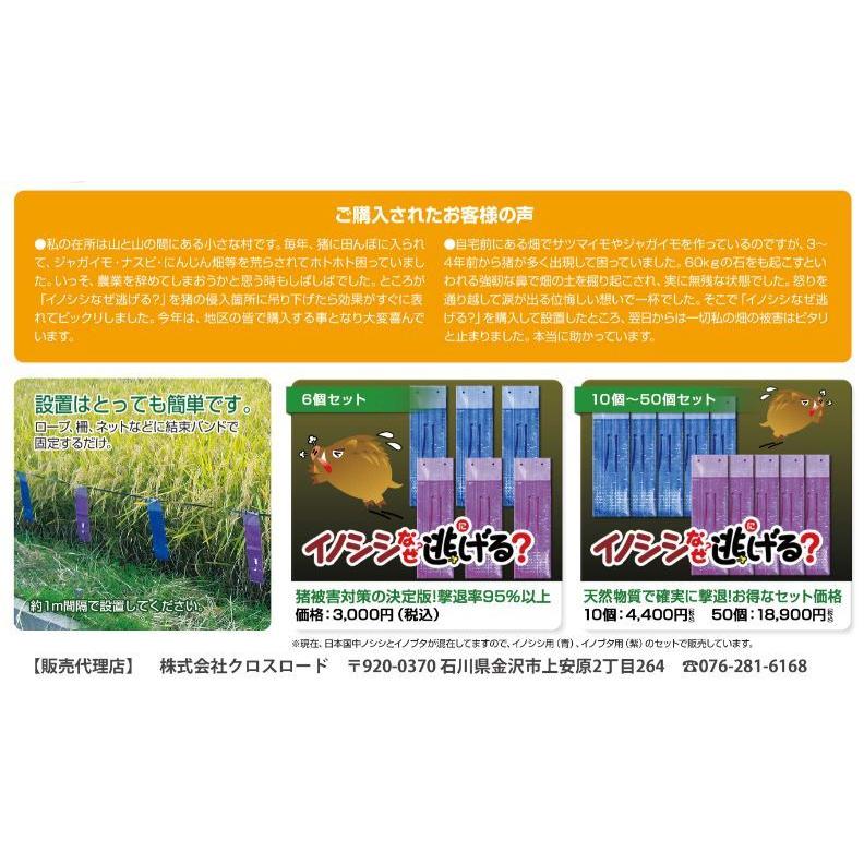 イノシシなぜ逃げる? 3個セット 撃退率95％以上 イノシシ撃退 いのしし対策