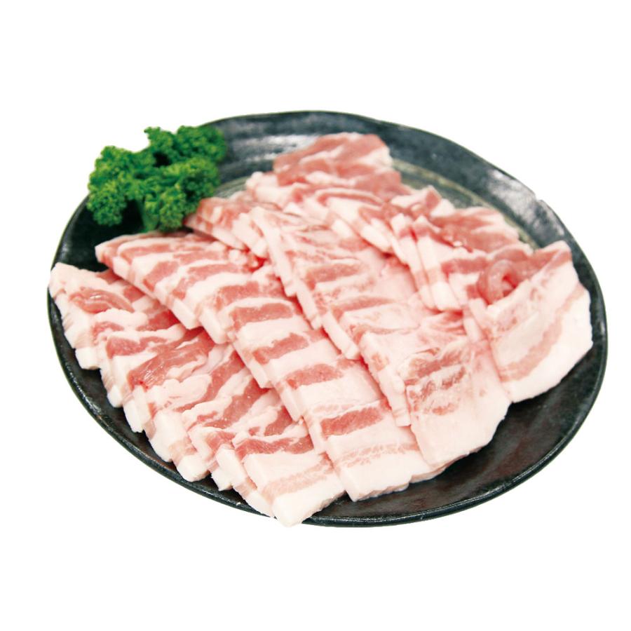 宮崎 SPF日南もち豚 バラ焼肉用 500g ギフト プレゼント お中元 御中元 お歳暮 御歳暮