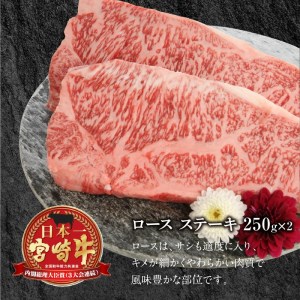 宮崎牛 ロース ステーキ 250g×2 計500g　N0147-ZB117