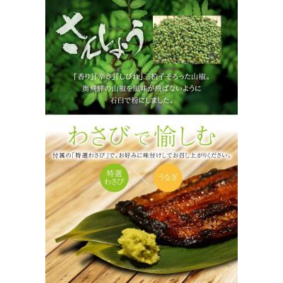 ふるさと納税 各務原市 岐阜鰻たむろ　”極”(ご自宅用 蒲焼き6尾)鮎の塩焼き付き