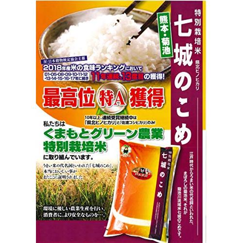 米　お米　５ｋｇ　特別栽培米　七城の米　白米　熊本県産　令和４年産