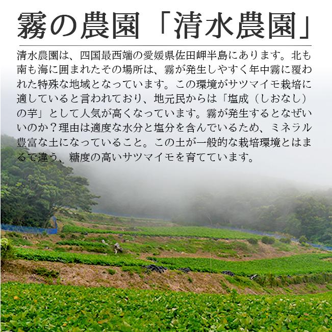 さつまいも 紅はるか 10kg  送料無料 生 土つき 減農薬 低農薬  清水農園 愛媛