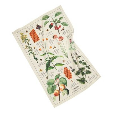 《NOW》美國 純棉擦拭布(蜜蜂圖鑑71x46cm) | 廚房抹布 清潔布 擦拭布 超細纖維布 擦車布 吸水布