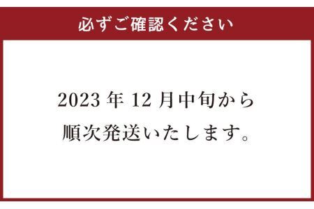 農場指定　ヴェール農場　札幌伝統野菜札幌黄たまねぎ10kg