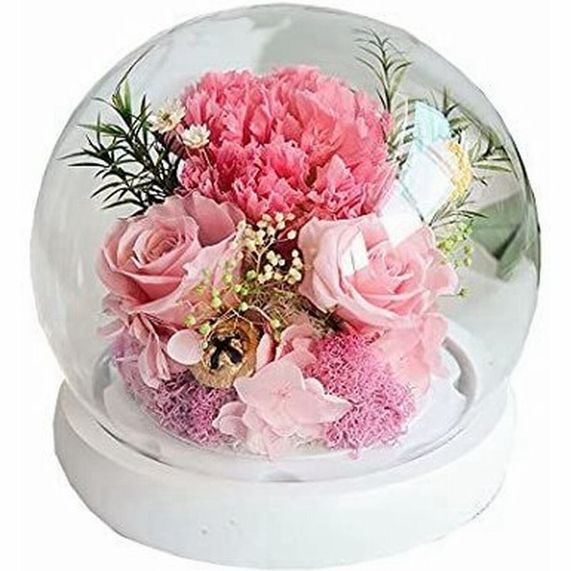 プリザーブドフラワー 可愛い バラ レッドローズ 薔薇 カーネーション アジサイ 枯れない 花 3カラー ブリザードフラワー おしゃれ ロマ 通販 Lineポイント最大get Lineショッピング