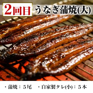 ＜6ヶ月定期便＞いちき串木野プレミアム定期便（マグロ・鰻・牛肉）