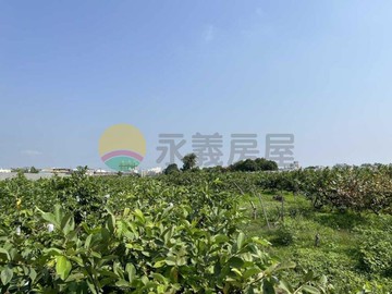 阿蓮區都內農⭐地形方正交通便利好利用｜高雄市阿蓮區阿蓮段