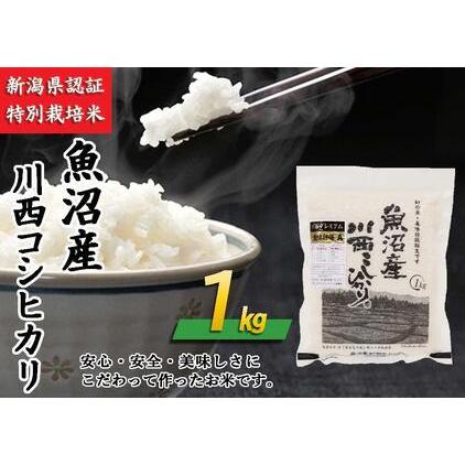 ふるさと納税 魚沼産川西こしひかり1kg　新潟県認証特別栽培米　令和５年度米 新潟県十日町市