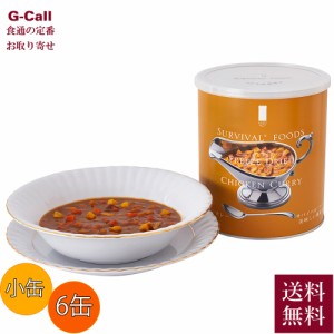 サバイバルフーズ 超 長期保存食 小缶 チキンカレー 6缶セット 送料無料 25年備蓄食 防災 防災グッズ 保存食 非常食 缶詰 災害用 缶切り