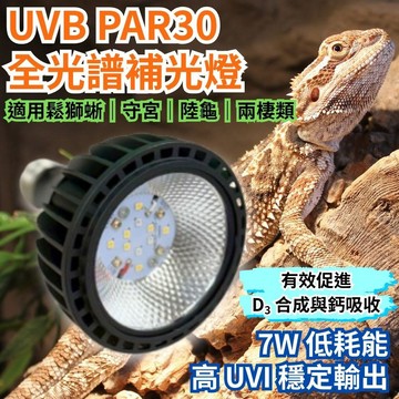 【君沛爬蟲燈】UVB 爬蟲燈 LED 補光燈 7W PAR30｜高 UVI 全光譜 適用爬蟲烏龜鬆獅