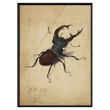 菠蘿選畫所 鍬形蟲 杜勒 AVAR4666B  59.4 x 42cm  黑色