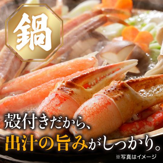 かに カニ 蟹 姿ずわいがに ズワイガニ ボイルずわいがに 1kg 2杯 グルメ 食品 ギフト お歳暮 11