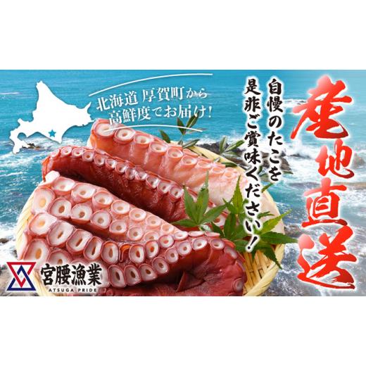 ふるさと納税 北海道 日高町 ハーフボイルタコ 2kg 