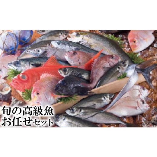 ふるさと納税 長崎県 雲仙市 旬の高級魚お任せセット   田中鮮魚店   長崎県雲仙市