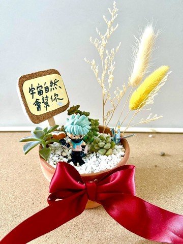 台中多肉組盆 多肉植物 日式枯山水 微景觀系列 火影忍者 卡卡西