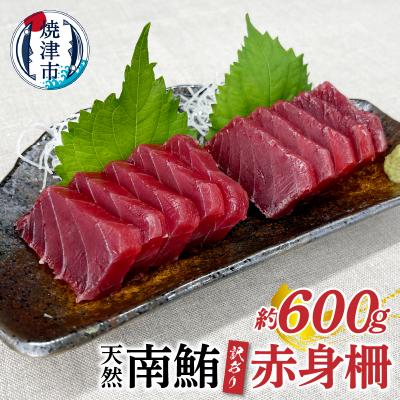 ふるさと納税 焼津市 訳あり 天然 南鮪 赤身 約600g(a10-858)