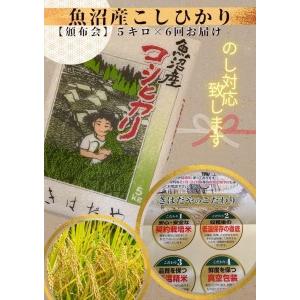 ふるさと納税 魚沼産コシヒカリ特上米５kg×６回定期便令和5年度産 新潟県十日町市