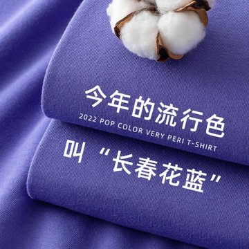 長春花藍250g重磅夏日百搭短袖T恤圓領寬松純棉厚實素色簡約打底
