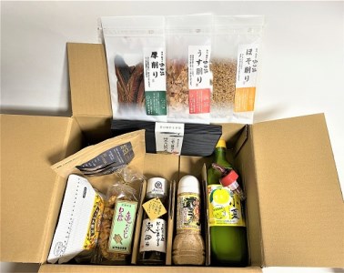 福袋 特産品10品詰め合わせセット（調味料 コーヒー粉 柑橘飲料 お菓子 宗田節など）