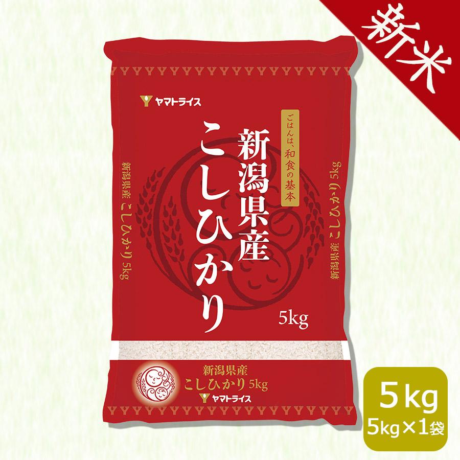 米 お米 コシヒカリ 新潟県産 5kg 白米 令和5年産