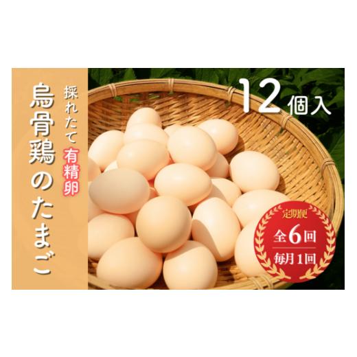 ふるさと納税 高知県 中土佐町 烏骨鶏のたまご　有精卵１２個入り