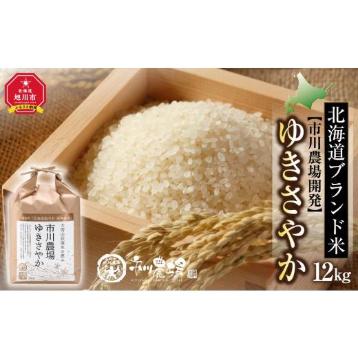 ふるさと納税 北海道 旭川市 〔令和5年産〕市川農場開発「ゆきさやか」 12kg