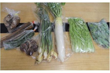 20-05阿見町産野菜ボックス（7～8品）