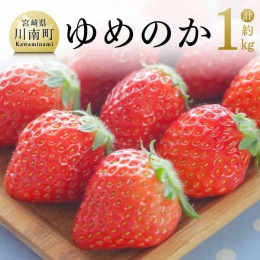  宮崎県産 いちご 「 ゆめのか 」 270ｇ×4パック 