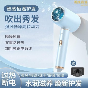 （爆款熱賣）（國際精品）2024錘子電吹風大功率髮廊理髮店吹風機家用冷熱風藍光護髮吹風筒