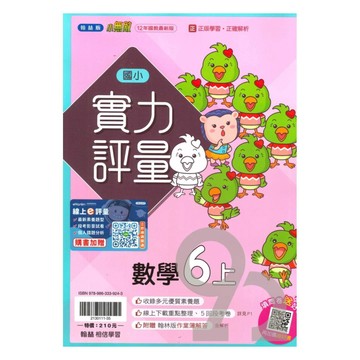 翰林國小實力評量數學6上