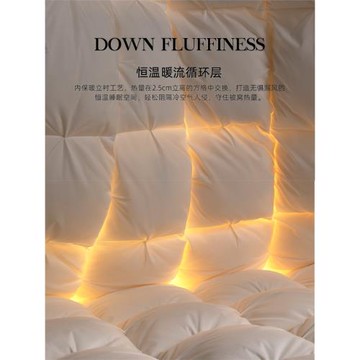 五星級酒店100%羽絨被95白鵝絨被子被芯春秋被結婚加厚保暖冬被
